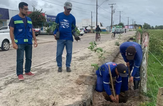 Prefeitura e Embasa começam novos plantios de árvores na cidade de Mucuri