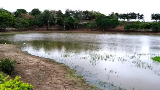 População reclama da falta de cuidados com a Lagoa dos Namorados