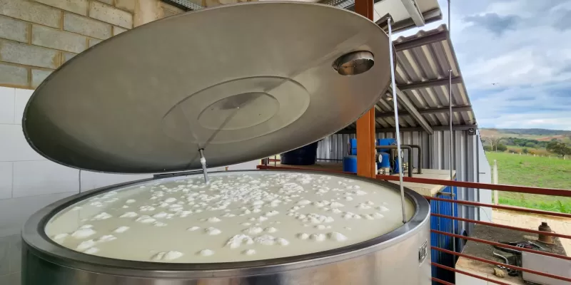 Governo de Minas enriquece merenda escolar com leite adquirido de pequenos produtores e cooperativas locais
