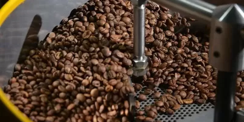 Premiação reconhece os melhores cafés produzidos na região de Chapada de Minas  